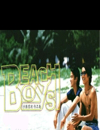 Beach Boys Special